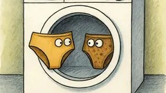 Banc: Două perechi de chiloți în mașină